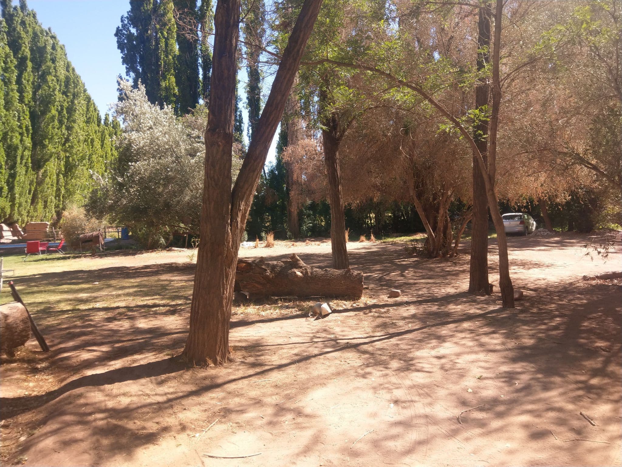 Street view near Don Lisandro, Barreal — © deadolus (CC BY-SA · Mapillary)
