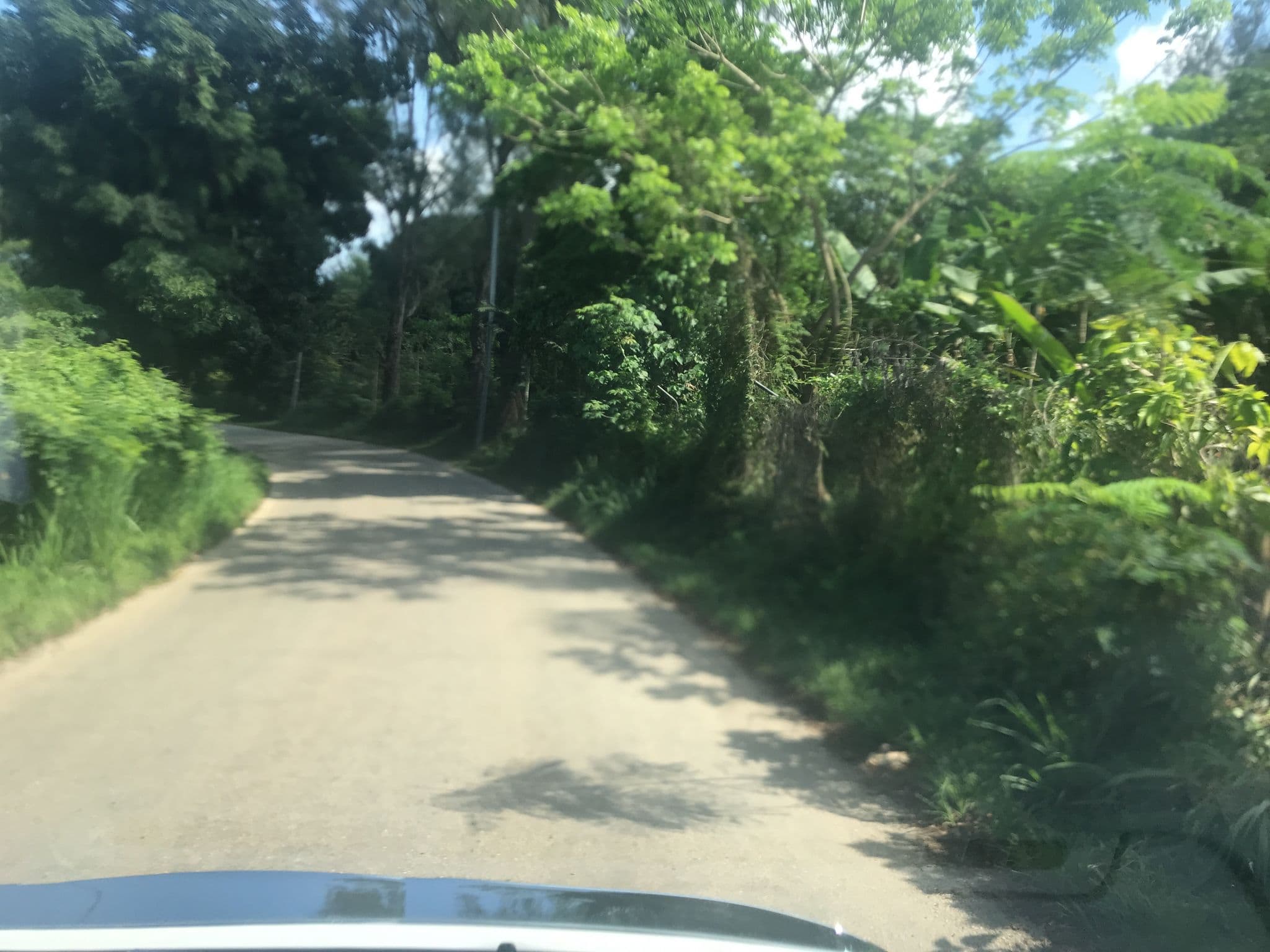 Street view near Grace House YWAM Guest House, Port-Vila — © naokiosaka (CC BY-SA · Mapillary)