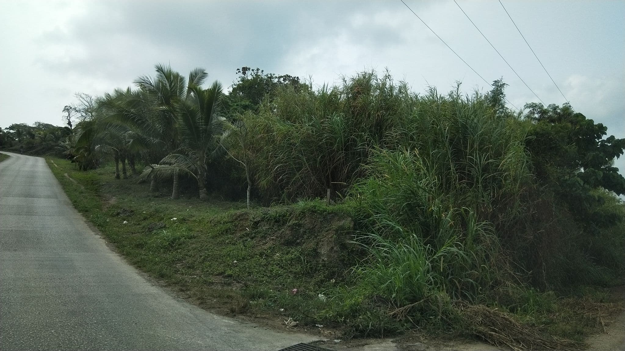 Street view near Usp hill, Port-Vila — © sjohnson1b (CC BY-SA · Mapillary)