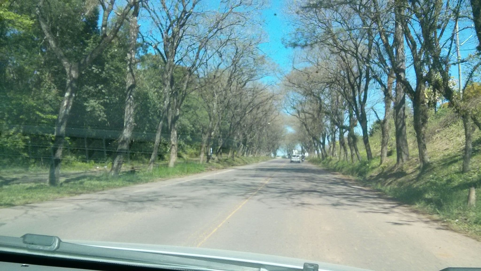 Street view near Hotel Imperial, Santa Cruz do Sul — © lino (CC BY-SA · Mapillary)