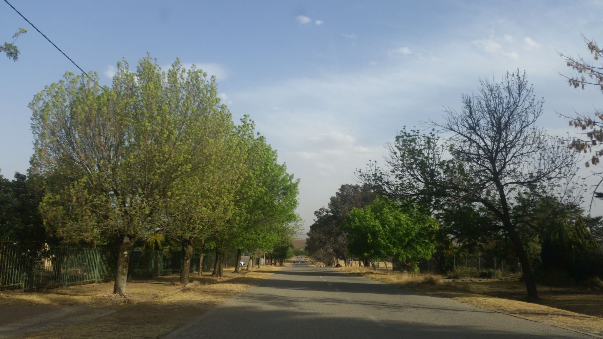 Street view near "No 19" B&B and Boarding, Kestell — © patrick_dalais (CC BY-SA · Mapillary)