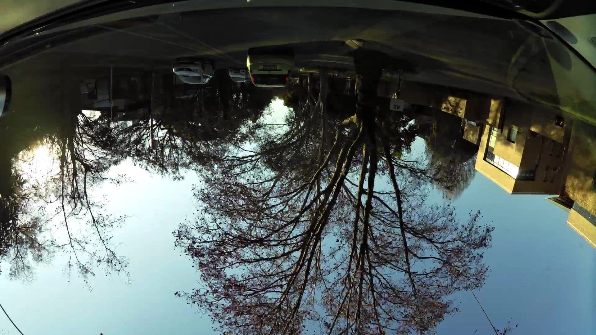 Street view near Glenhove Conference, Johannesburg — © kaartcam (CC BY-SA · Mapillary)
