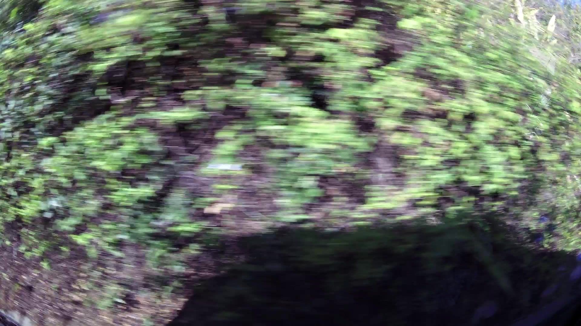 Street view near Peak's Cabin, Wilderness — © kaartcam (CC BY-SA · Mapillary)