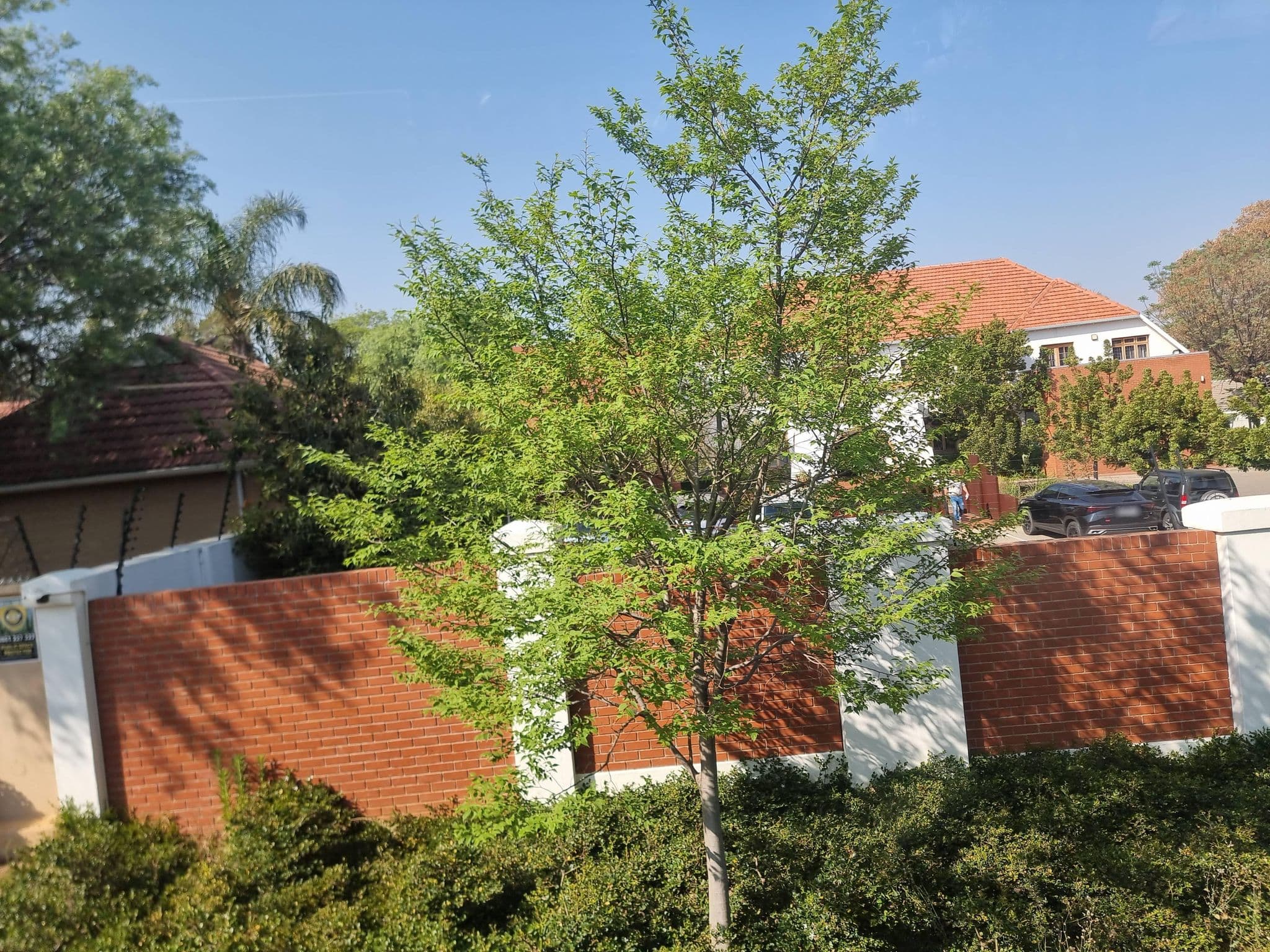 Street view near Mandela Sanctuary Hotel, Johannesburg — © mapfool (CC BY-SA · Mapillary)