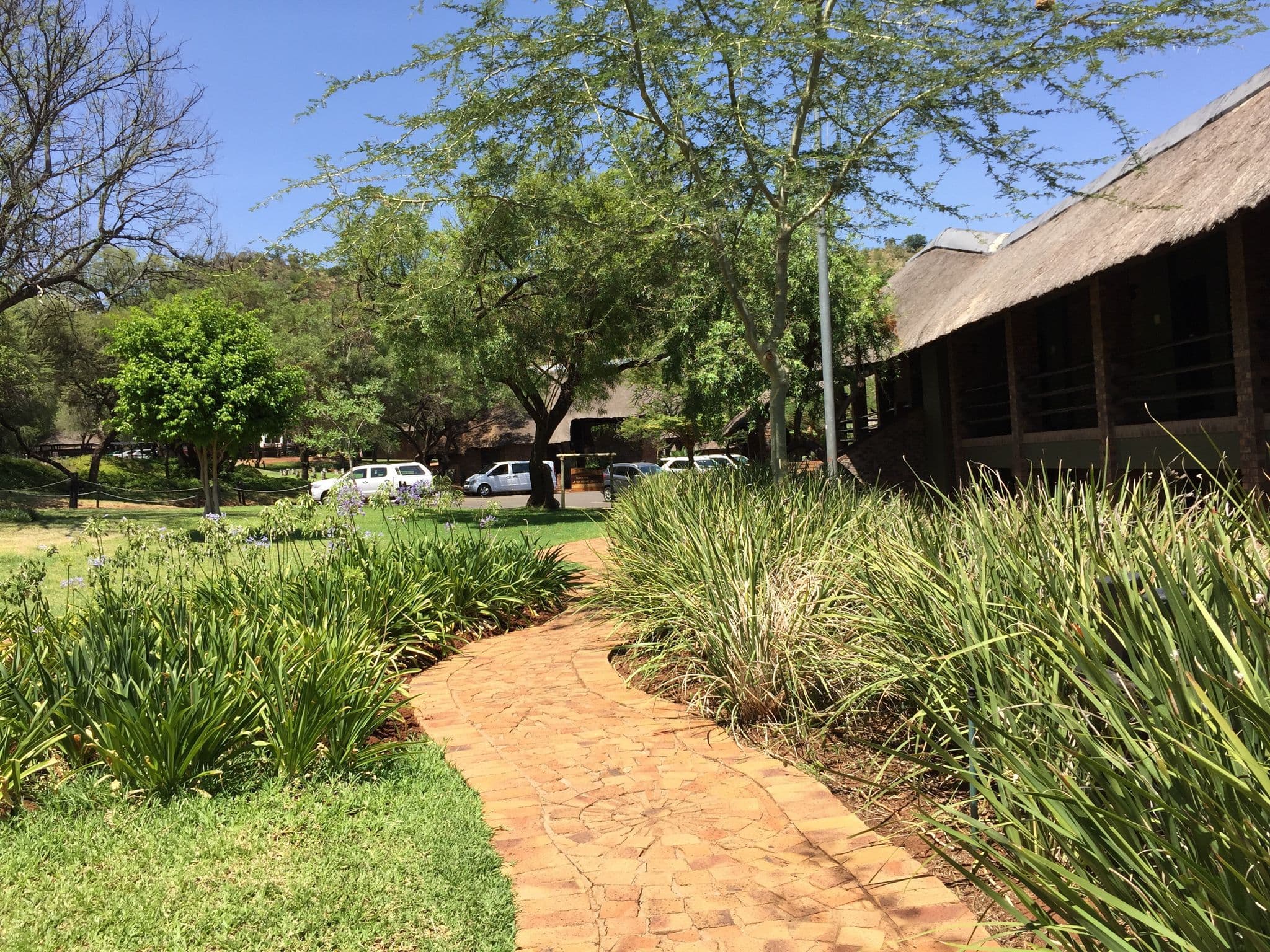 Street view near Bakubung Lodge, Sun City — © suhajdab (CC BY-SA · Mapillary)