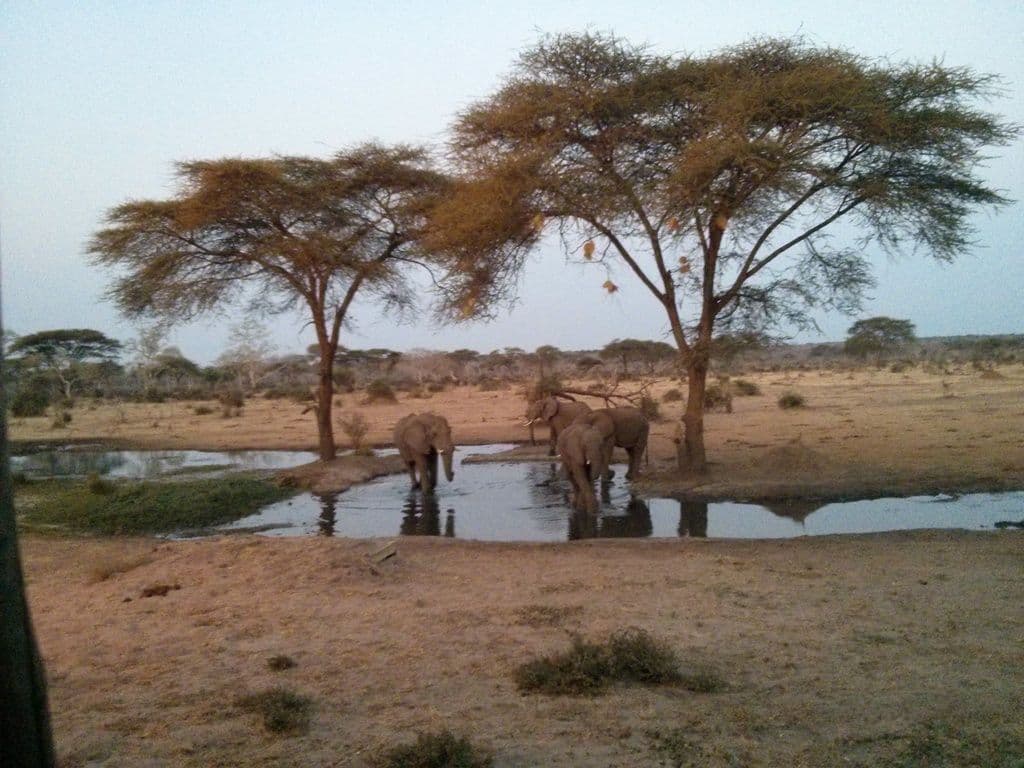 Street view near Senyati Safari Lodge, Kazungula — © janvanbekkum (CC BY-SA · Mapillary)