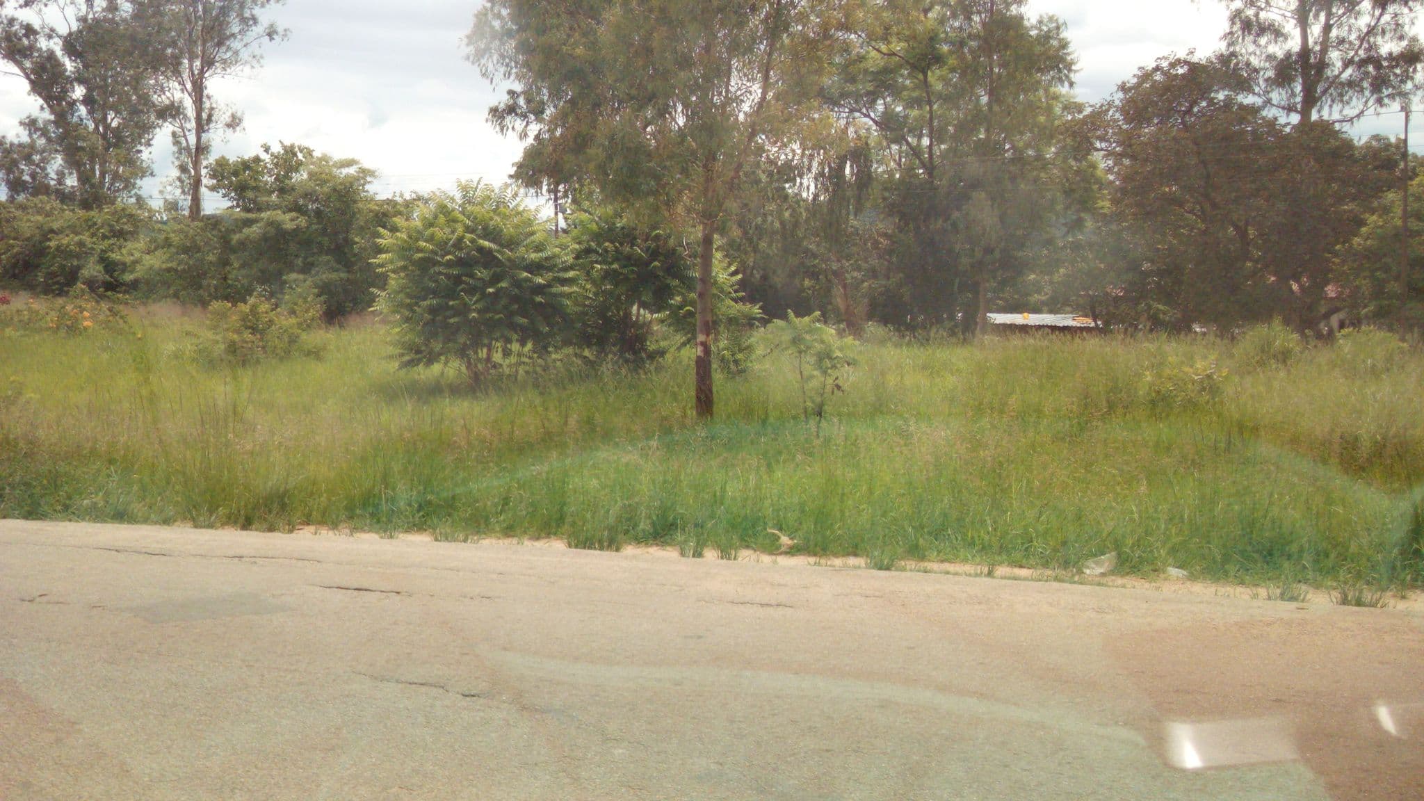 Street view near Mayfair Lodge, Bindura — © rubynikki (CC BY-SA · Mapillary)