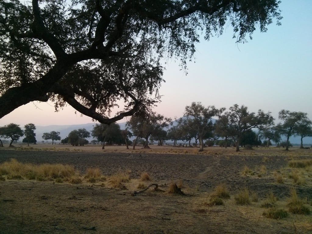 Street view near Ivory Lodge, Dete — © janvanbekkum (CC BY-SA · Mapillary)