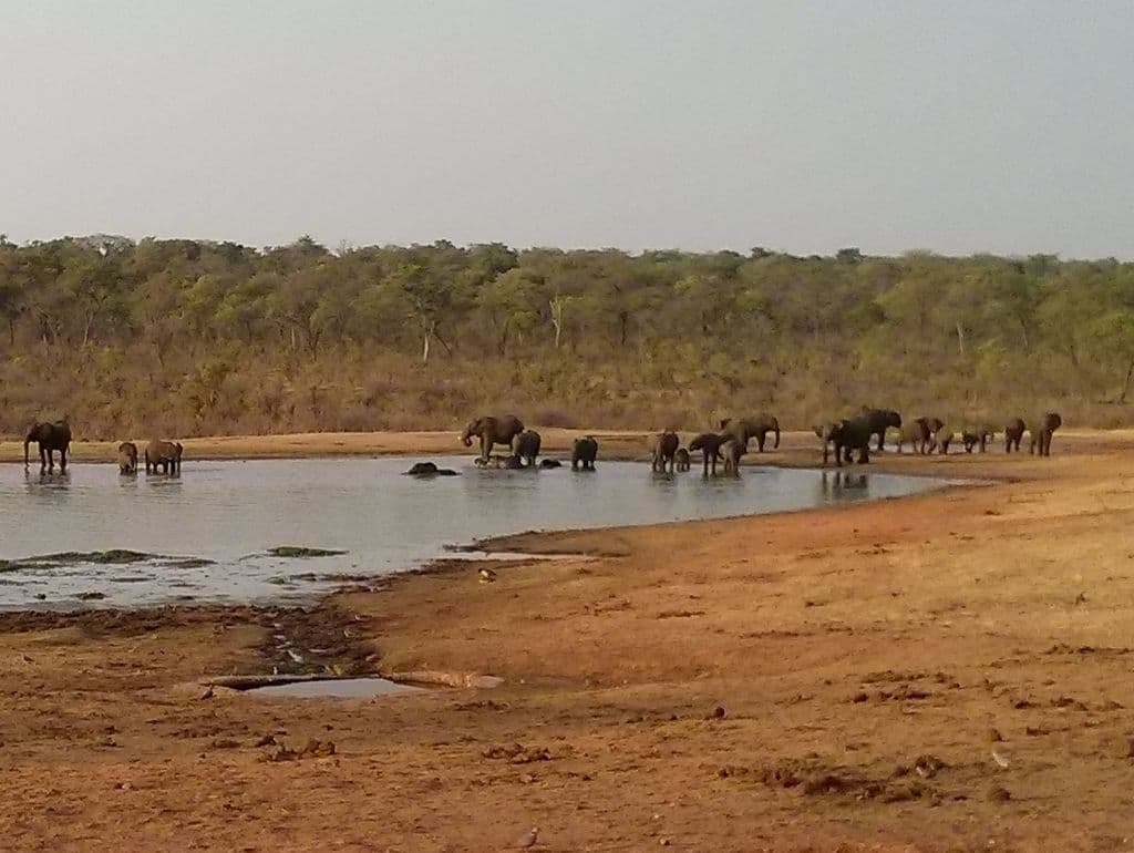 Street view near Tuskers Camp, Dete — © janvanbekkum (CC BY-SA · Mapillary)