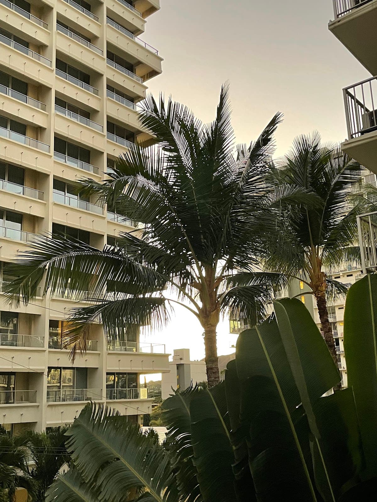 The Cabana At Waikiki Hotel, Hotel in Diamond Head / Kapahulu / Saint Louis Heights