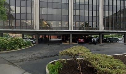 Scarlett Hotel Group, Hotel in Lincolnwood