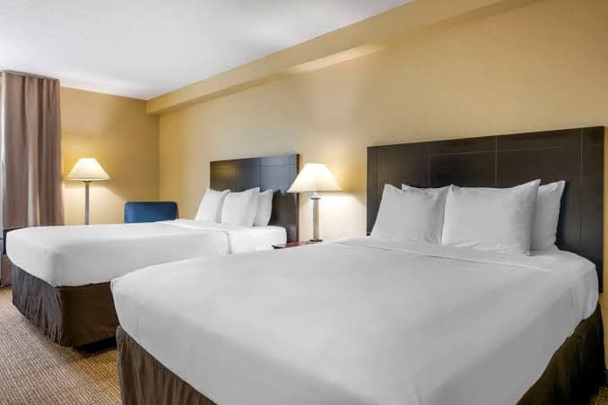 International Drive Hotel, Hotel in Doctor Phillips