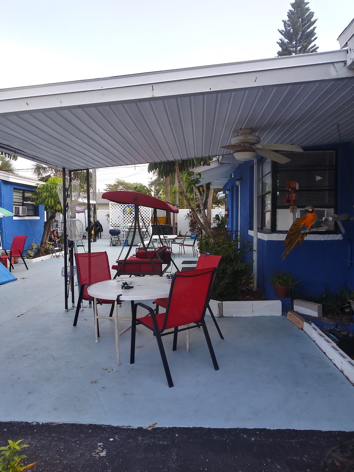 Macs Apartment Motel Inc, Motel in Madeira Beach