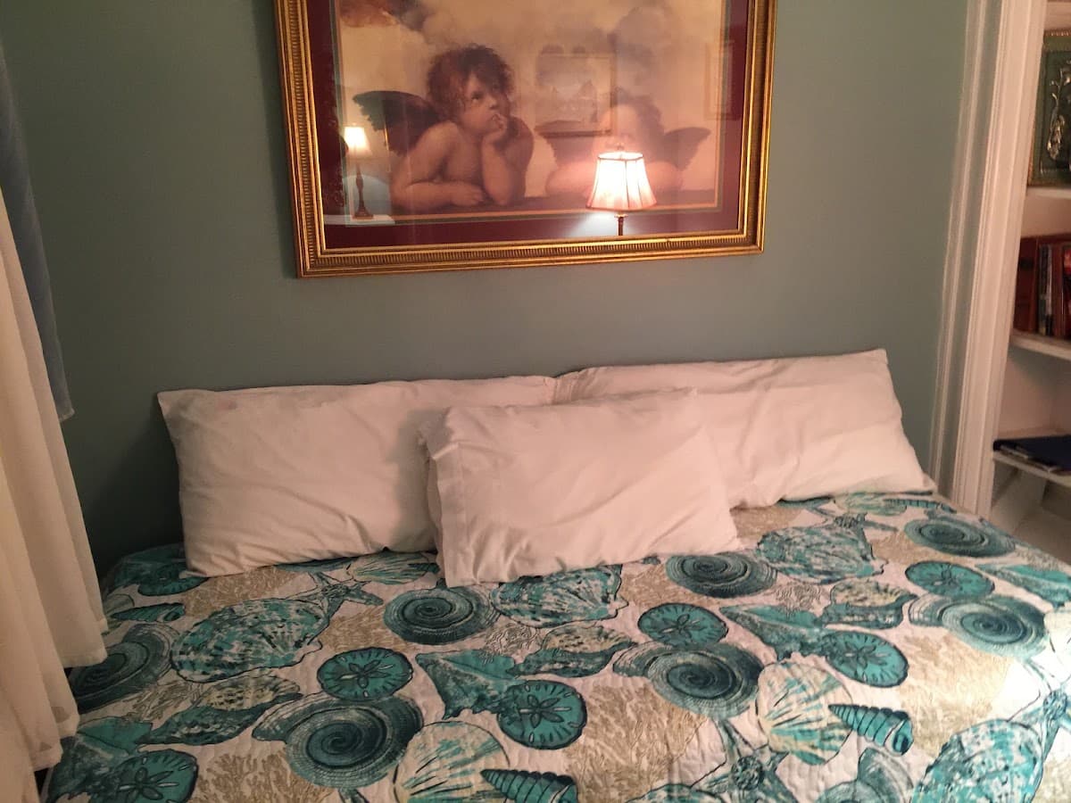 Bronx Guesthouse, Guesthouse in Wakefield
