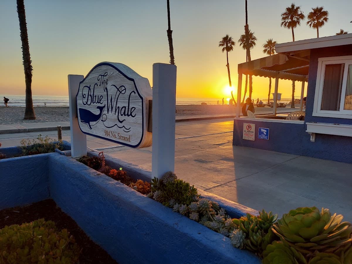 Blue Whale, Resort in Oceanside