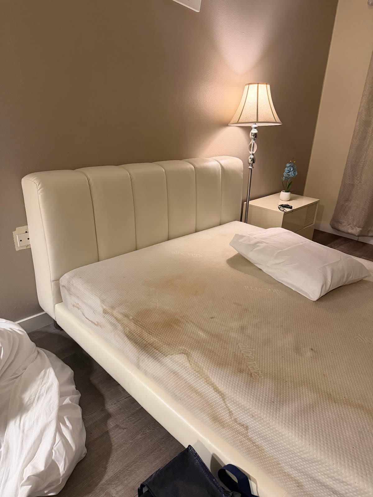 The Elijah Budget Hotel, Hotel in Beverly Hills