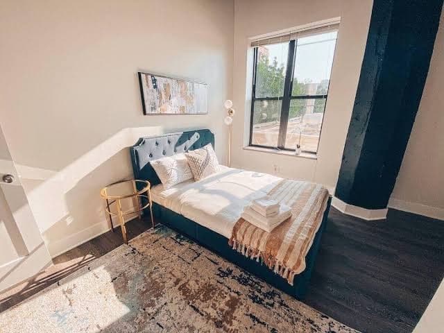 Spacious and luxurious apartment / sleeps 10 and with optional parking, Hotel in Near South Side