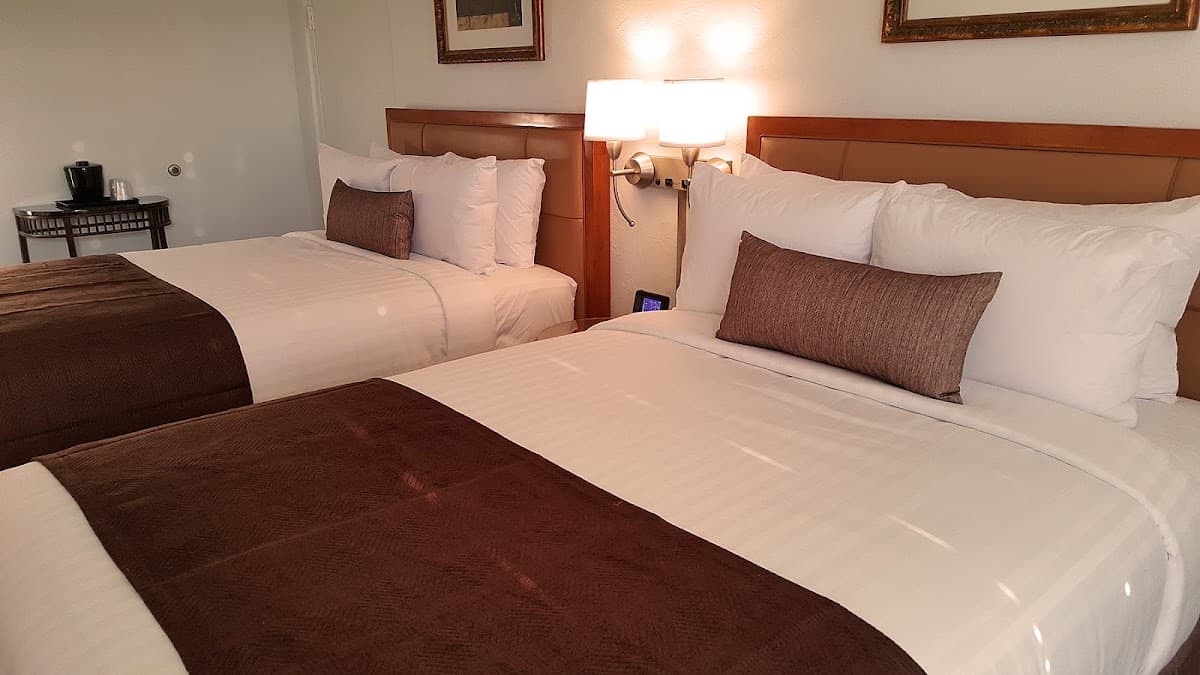 The PINES Country Inn, Hotel in Corunna