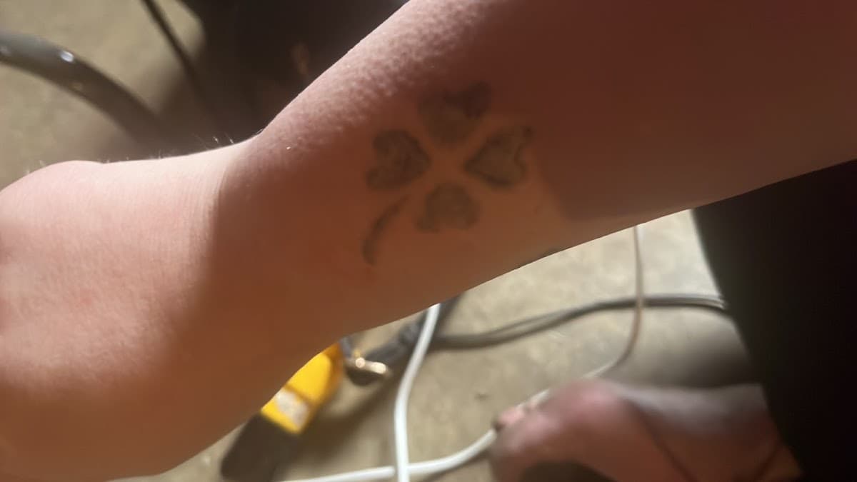 Millerdawgz, Motel in Crystal Lawns