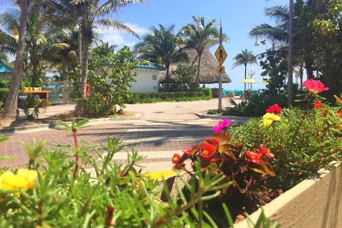 St Maurice Beach Inn - Standard Motel Room, Motel in Dania Beach