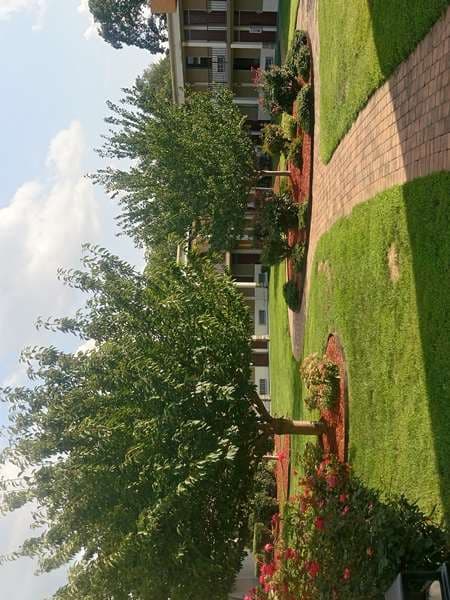 Super 8 by Wyndham Dover, Hotel in Dover