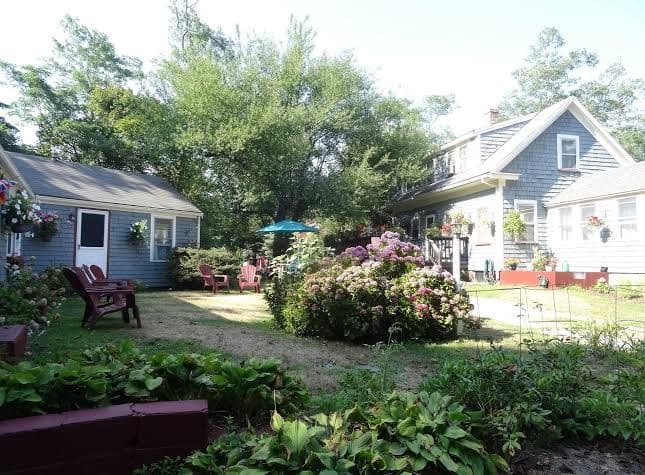 Beach Plum Motor Lodge, Motel in Eastham