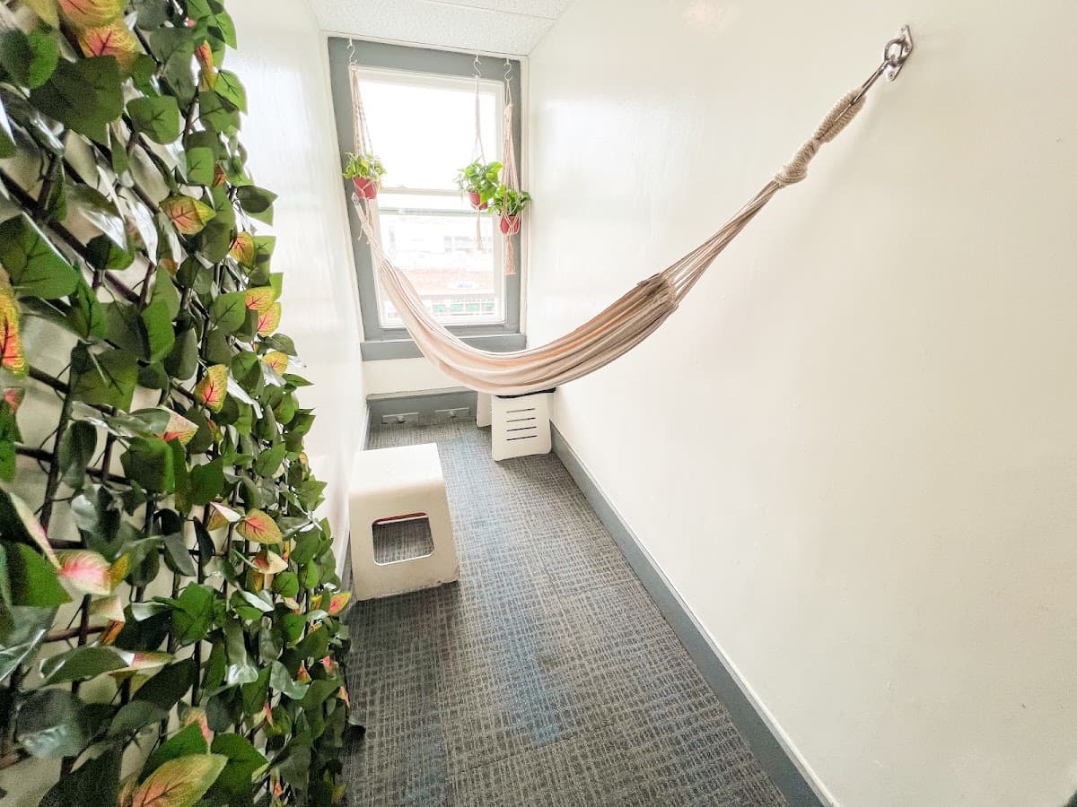 ITH Hermosa Beach Surf Hostel LAX, Hotel in Hermosa Beach