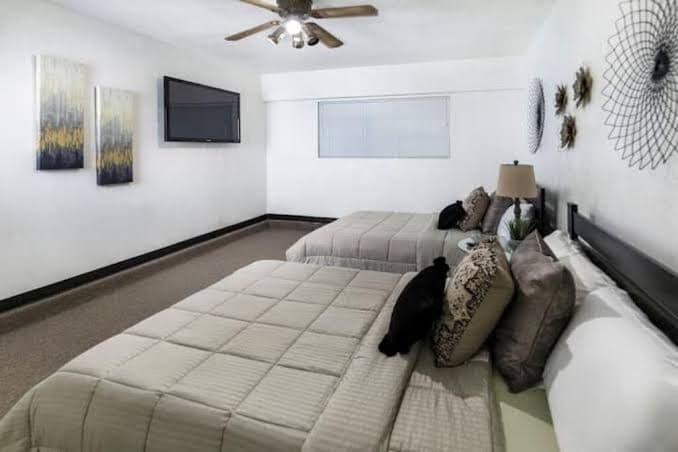 Comfy 2Bed1Bath Luxury Guest House MED/NRG/DTOWN, Guesthouse in Houston