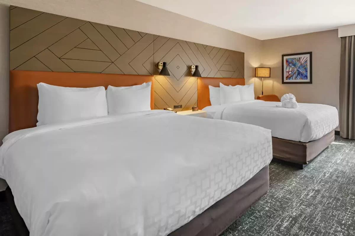 Clarion inn, Hotel in Springfield Gardens