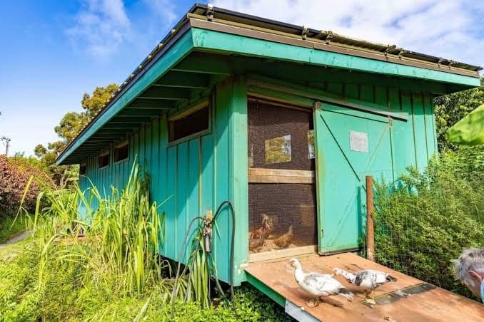 Deluxe Jasmine Suite on lush farm in Haiku, Maui with Private Hot Tub, Holiday Home in Huelo