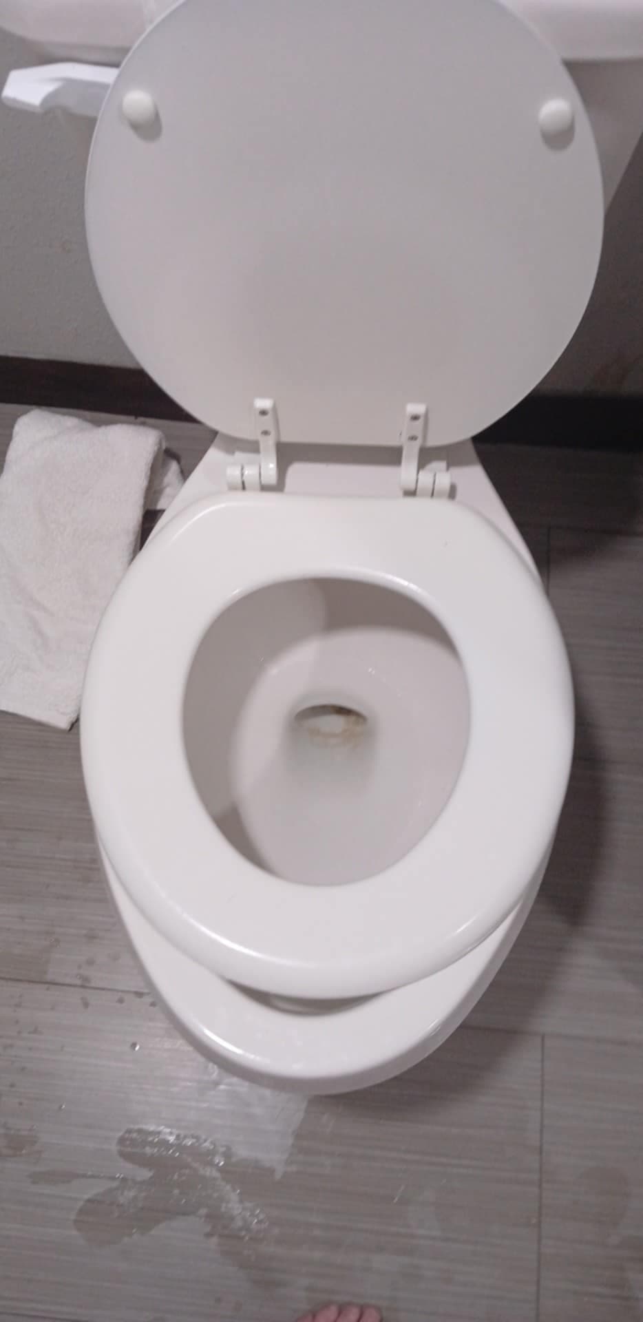 Hotel Trap, Hotel in Humble