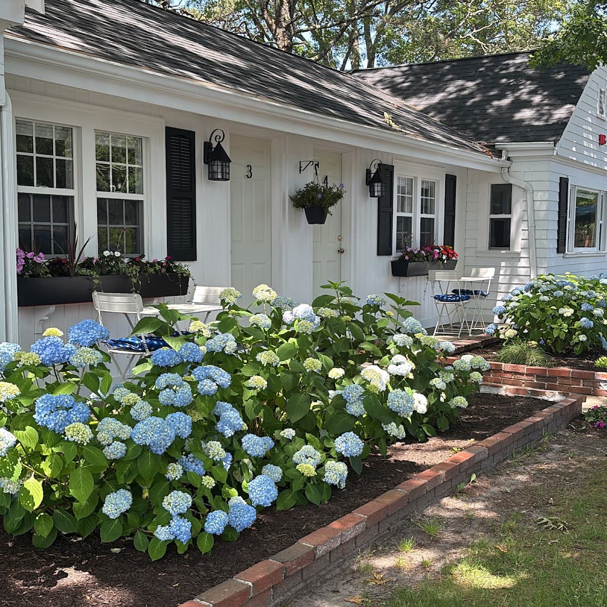 Cape Cod Motor Inn, Motel in West Yarmouth