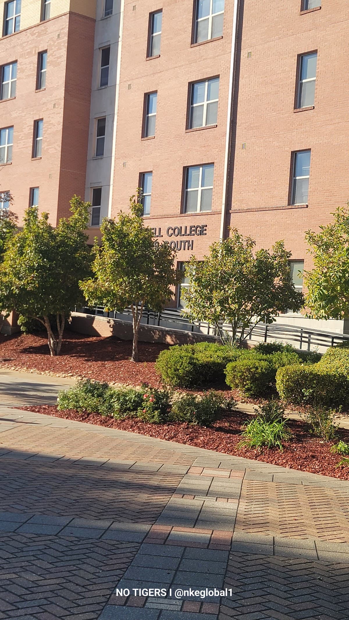 Campbell College Suites North, Hotel in Jackson