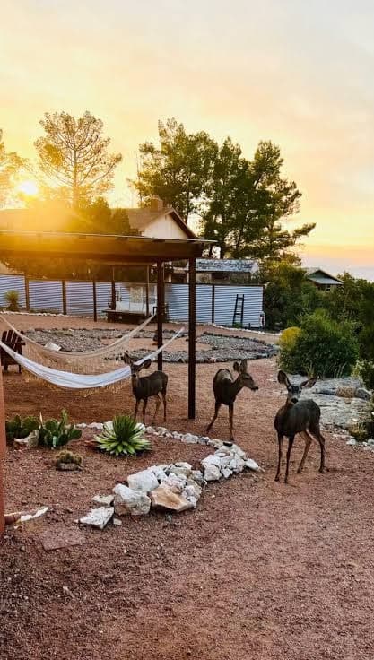 Gypsy Treasures Inn with hot Tub, Hotel in Lake Montezuma