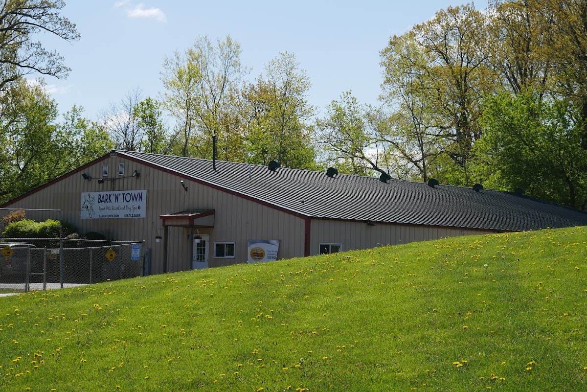 Bark 'N' Town Pet Resort and Day Spa, Resort in Volo