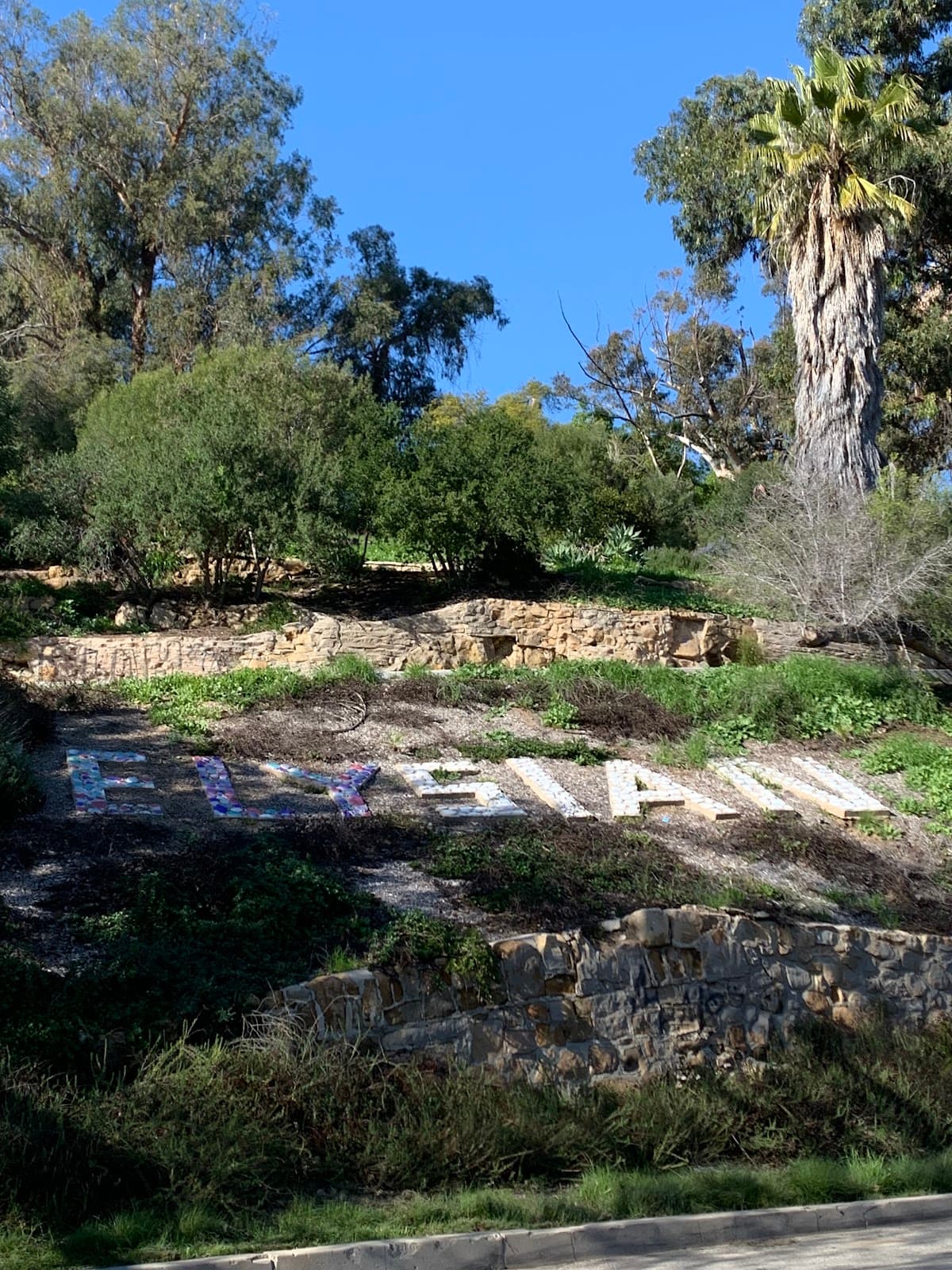 Portolá Trail Campsite One, Campsite in Los Angeles