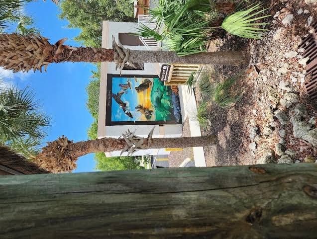 Sunrise Bay Resort Club, Hotel in Marco