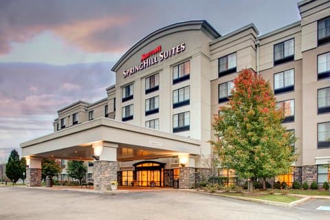SpringHill Suites by Marriott Wheeling Triadelphia Area, Hotel in Martins Ferry