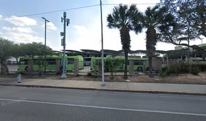 Palma, Hotel in McAllen