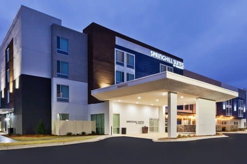 SpringHill Suites by Marriott Montgomery Prattville/Millbrook, Hotel in Millbrook