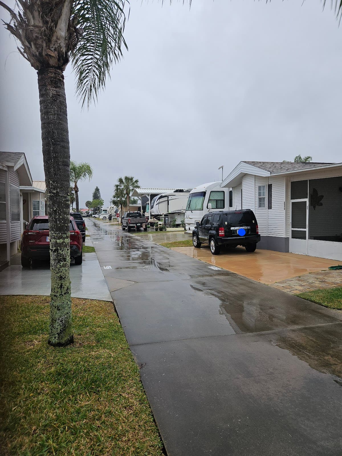 Willow Lakes RV Resort, Resort in Mims