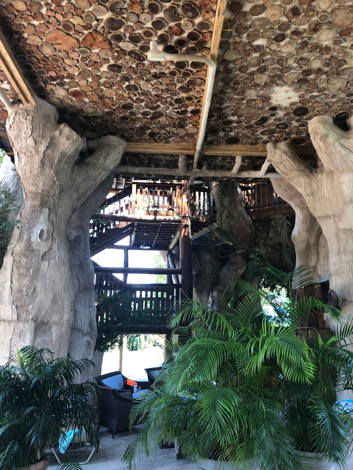 Treehaus Luxury Suites, Hotel in New Braunfels