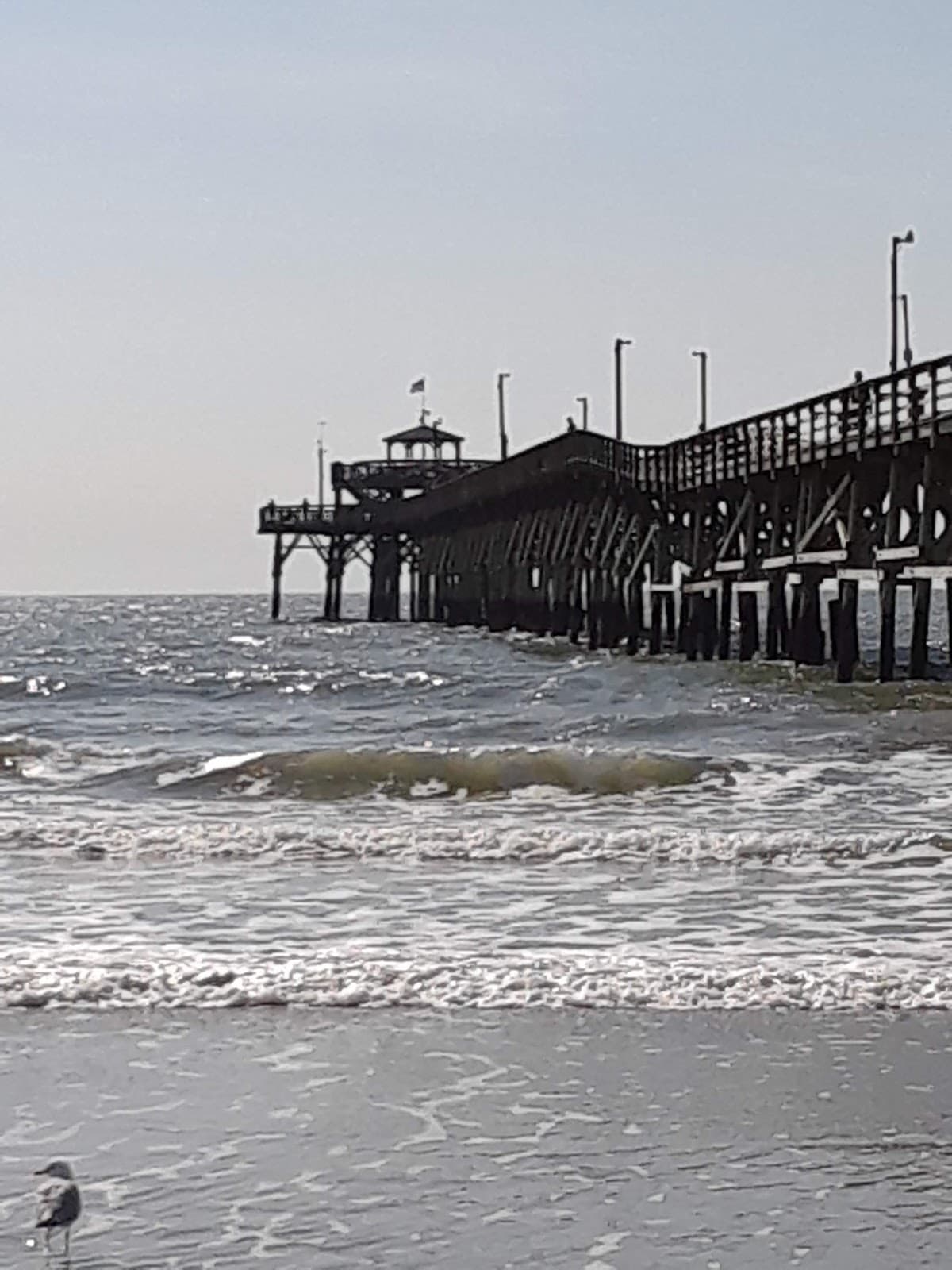 Cherry Grove Beach North Myrtle Beach, SC 29582, Hotel in North Myrtle Beach