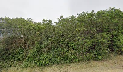 OceanShores Inn, Hotel in Ocean Shores