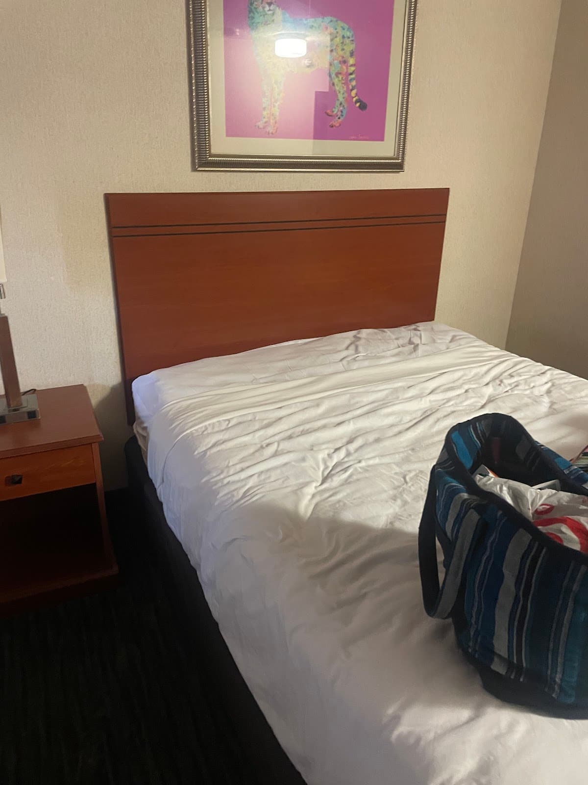 Omaha Zoo Hotel, Hotel in Omaha