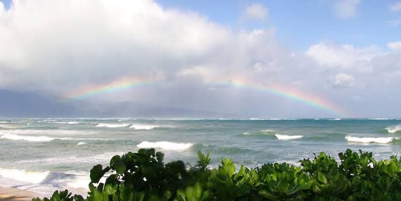 Maui Beachcomber, Hotel in Paia