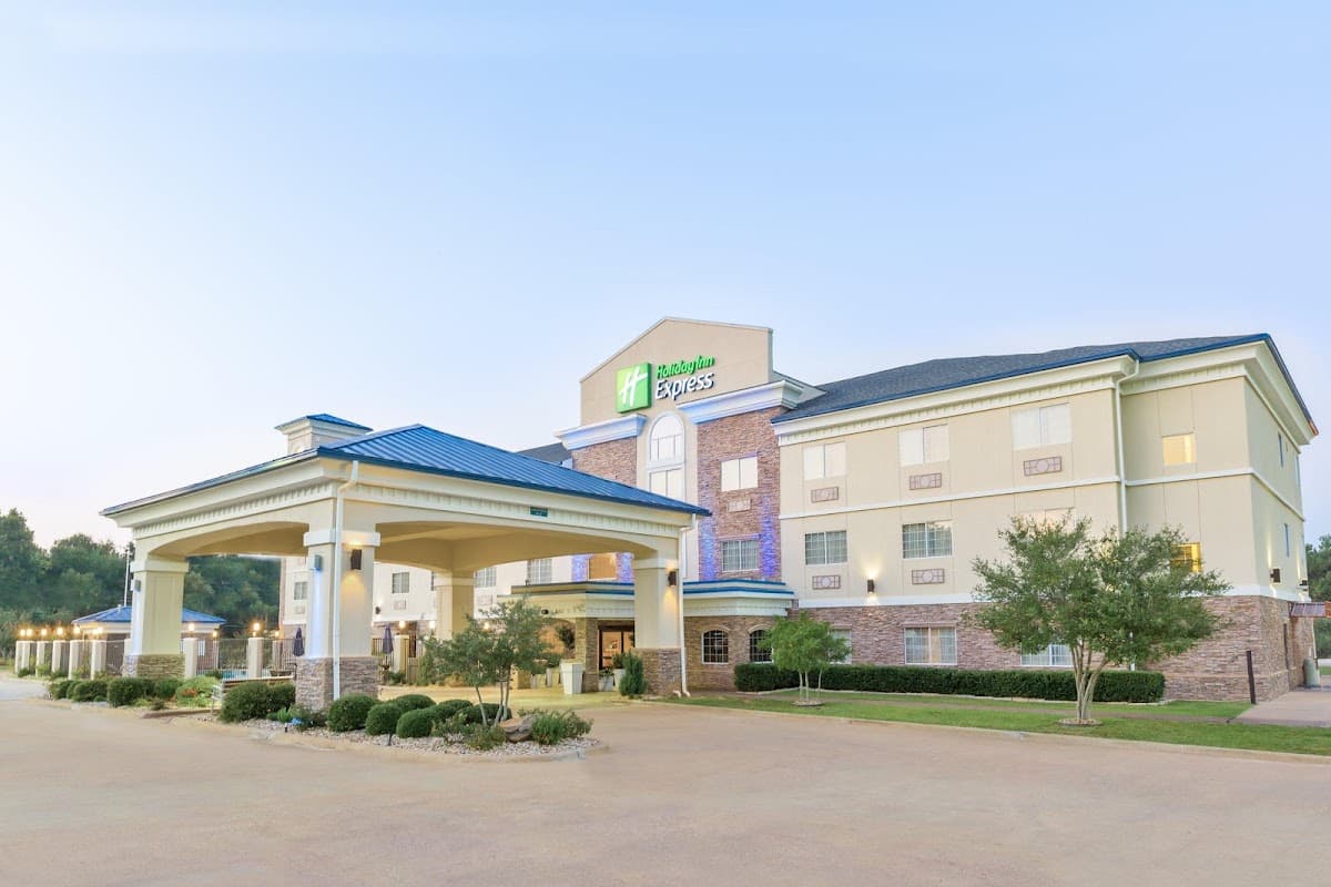 Holiday Inn Express Palestine by IHG, Hotel in Palestine