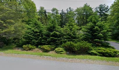 Mount Hotel, Hotel in Pocono Pines