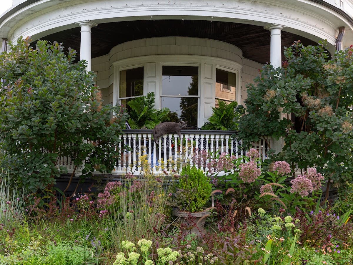 Heddwyn House, Bed & Breakfast in Kingston