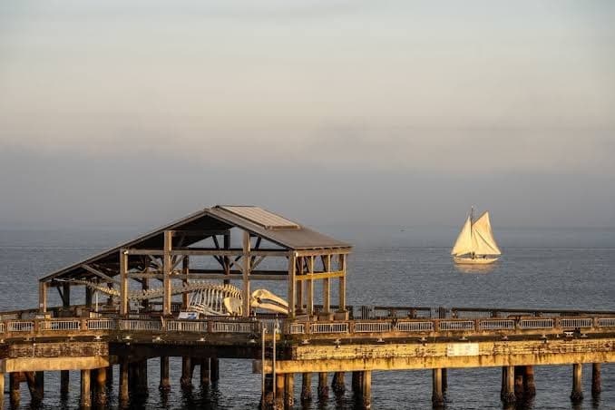 The Belmont Hotel, Hotel in Port Townsend